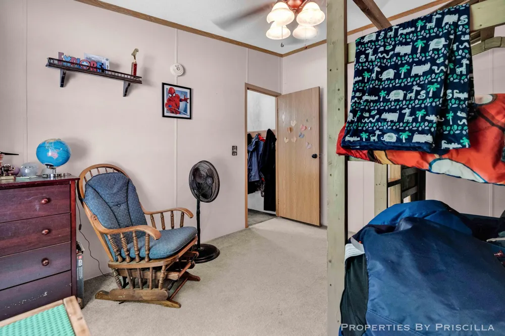 3766 Mary Avenue Big Prairie Township, MI 49337