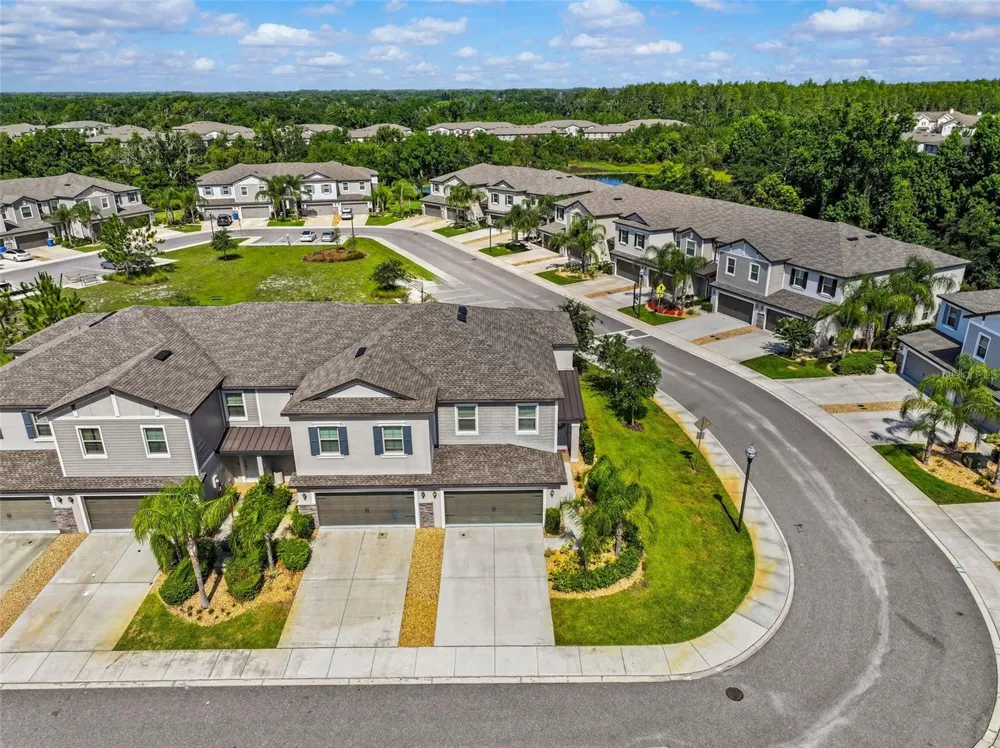1603 ROSEVILLE STREET Lutz, FL 33549