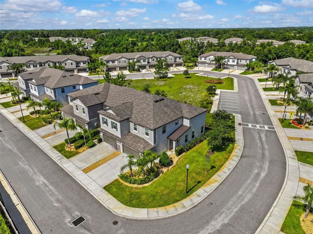 1603 ROSEVILLE STREET Lutz, FL 33549
