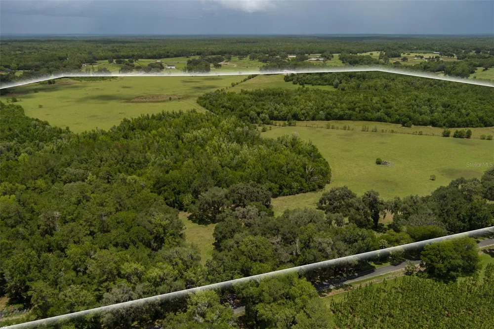 9504 NW HWY 320 Micanopy, FL 32667
