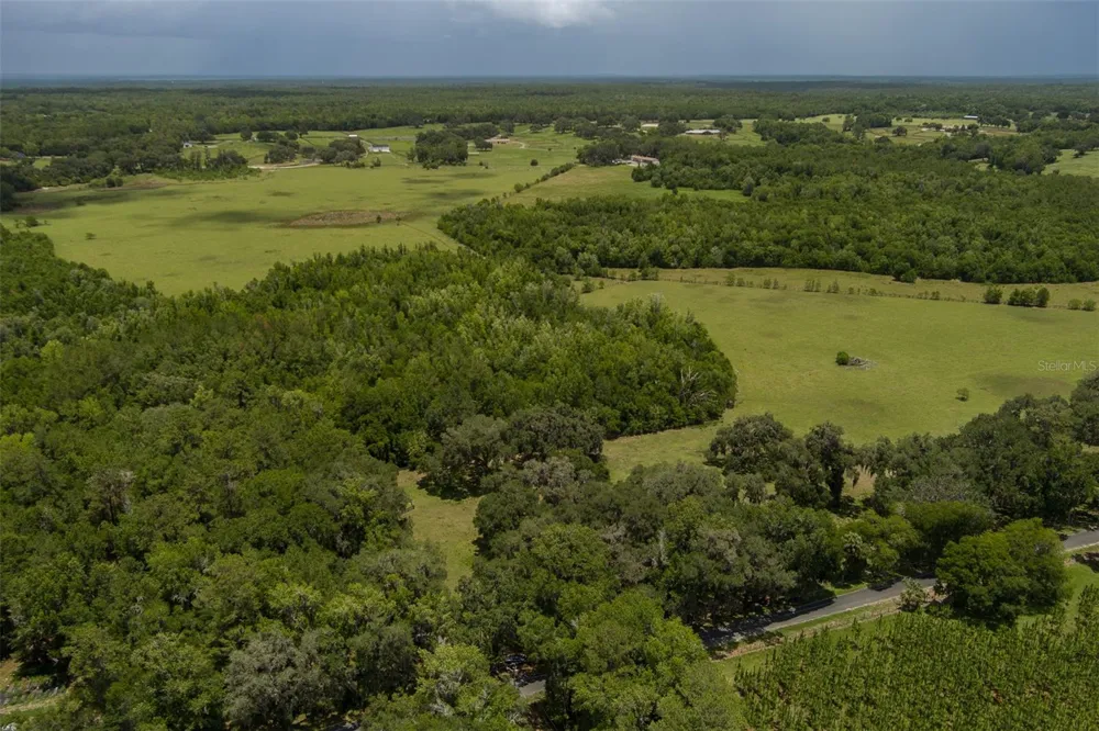 9504 NW HWY 320 Micanopy, FL 32667