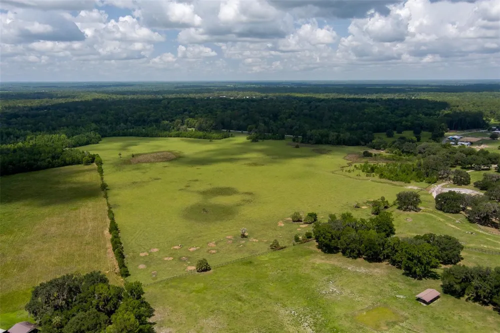 9504 NW HWY 320 Micanopy, FL 32667