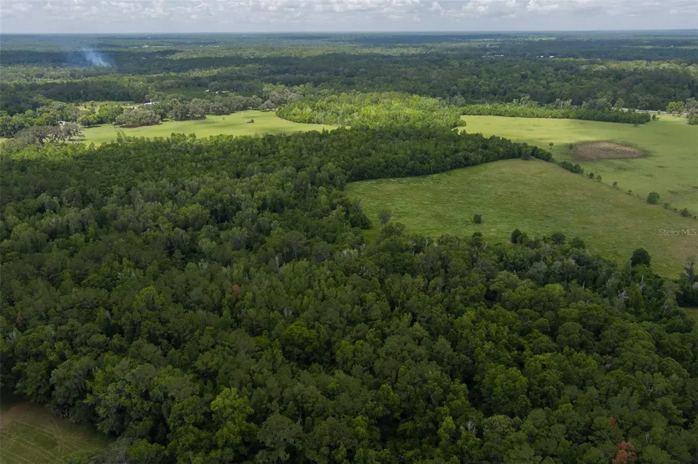 9504 NW HWY 320 Micanopy, FL 32667