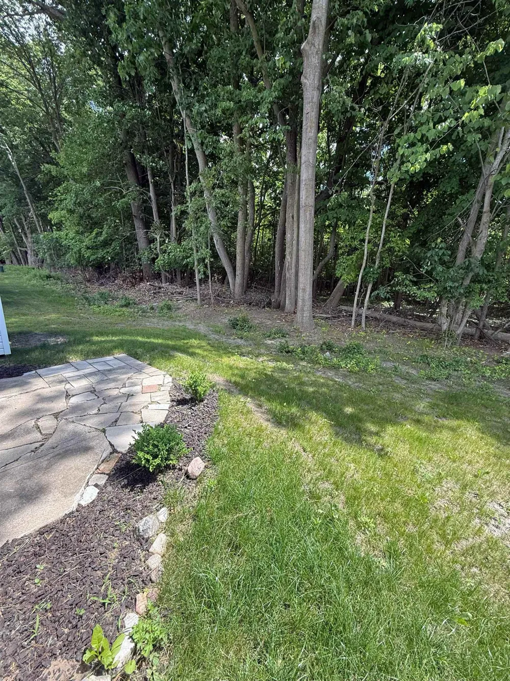 1178 Ironstone Drive Union Charter Township, MI 48858