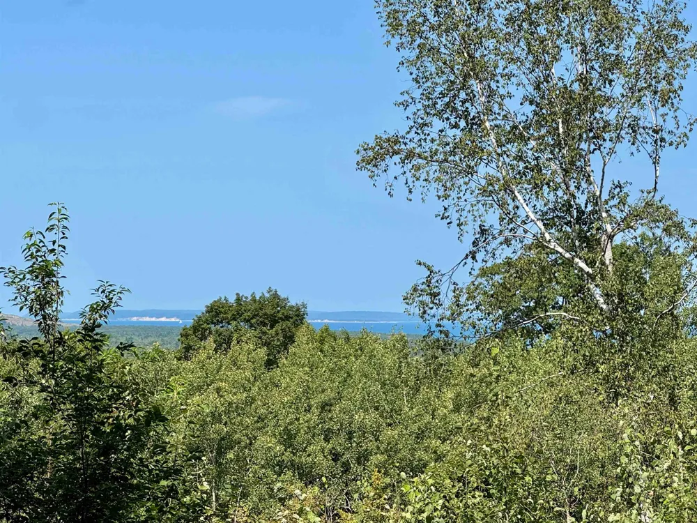 W Harbour Ridge Cleveland Township, MI 49664