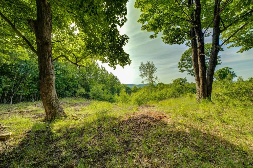 W Harbour Ridge Cleveland Township, MI 49664