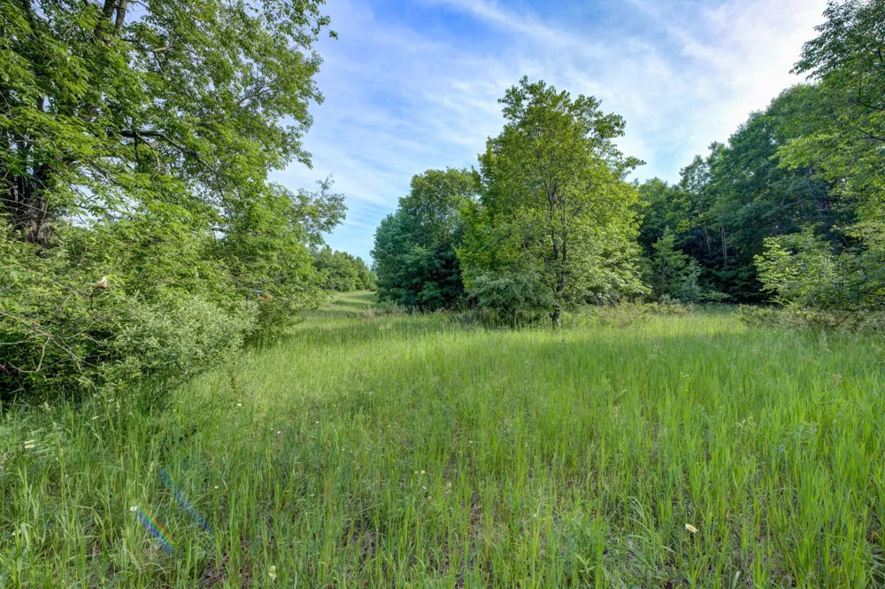 W Harbour Ridge Cleveland Township, MI 49664