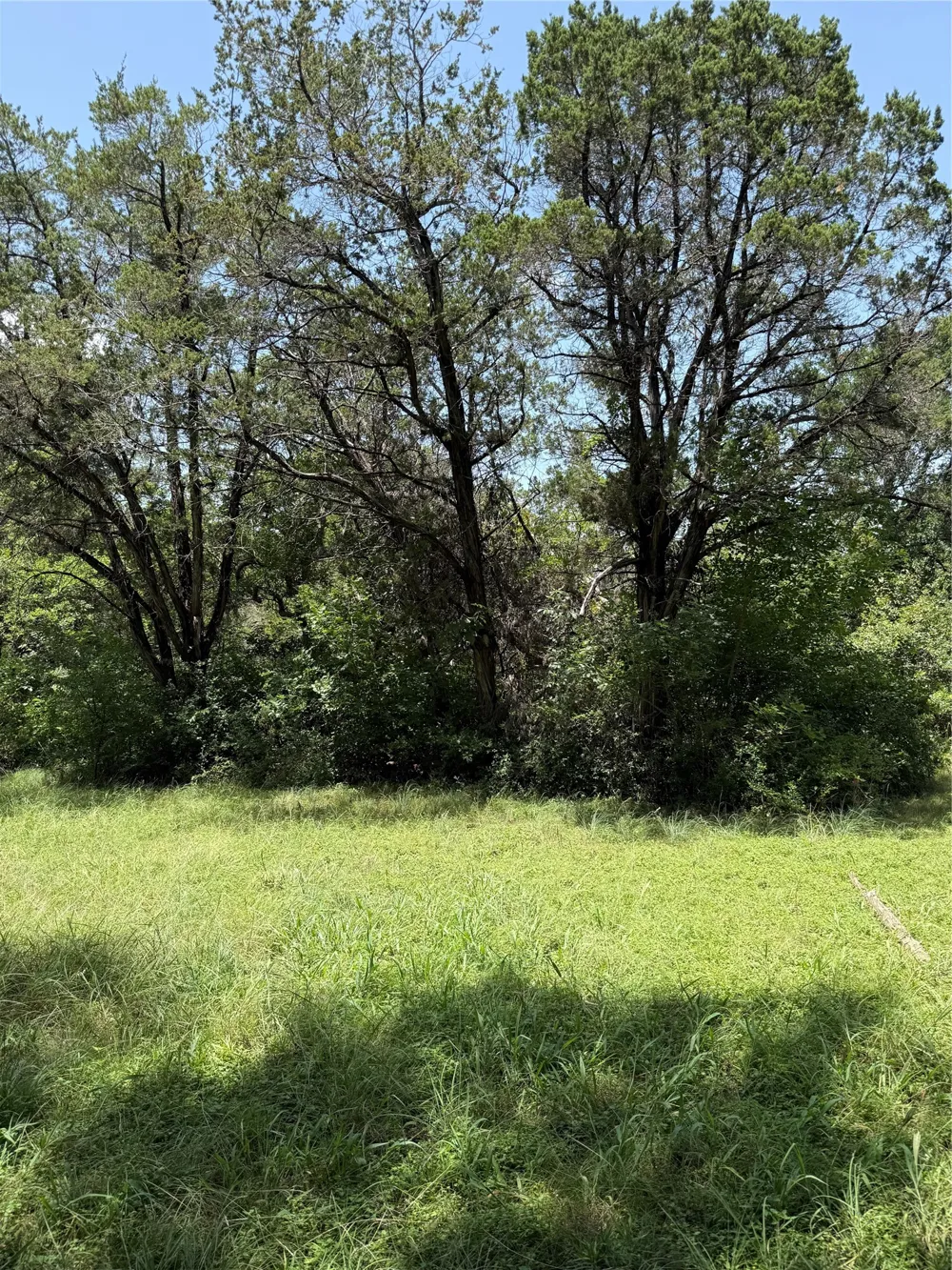 9217 Indian Trail Rio Vista, TX 76093