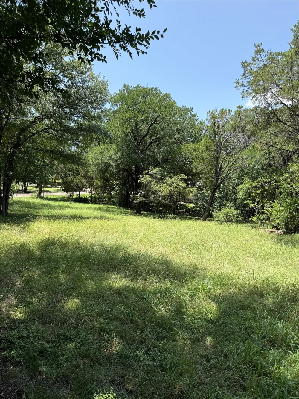 9217 Indian Trail Rio Vista, TX 76093