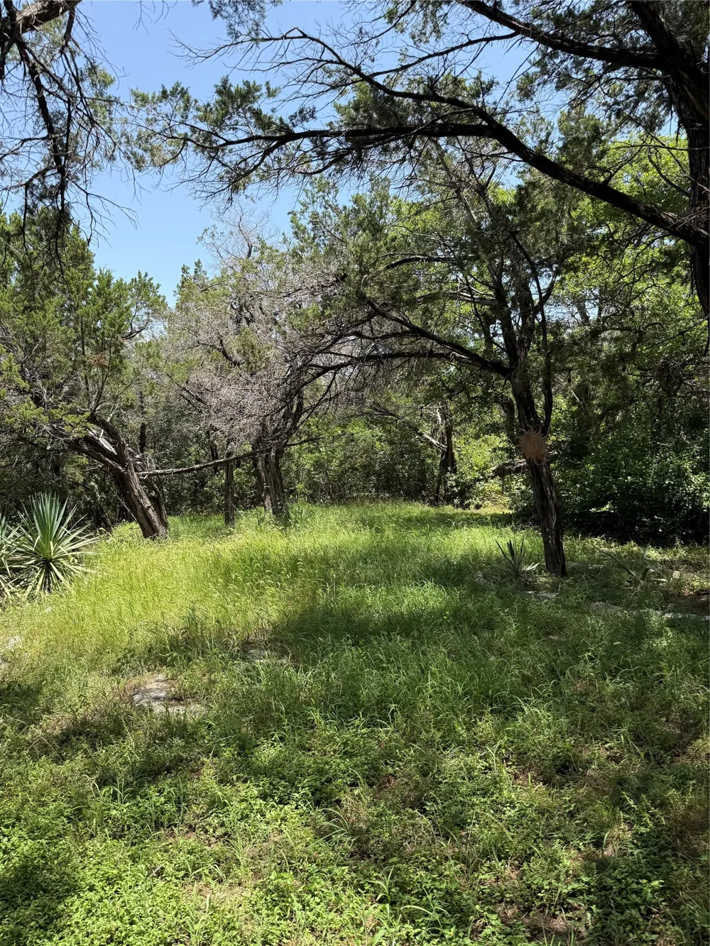 9217 Indian Trail Rio Vista, TX 76093