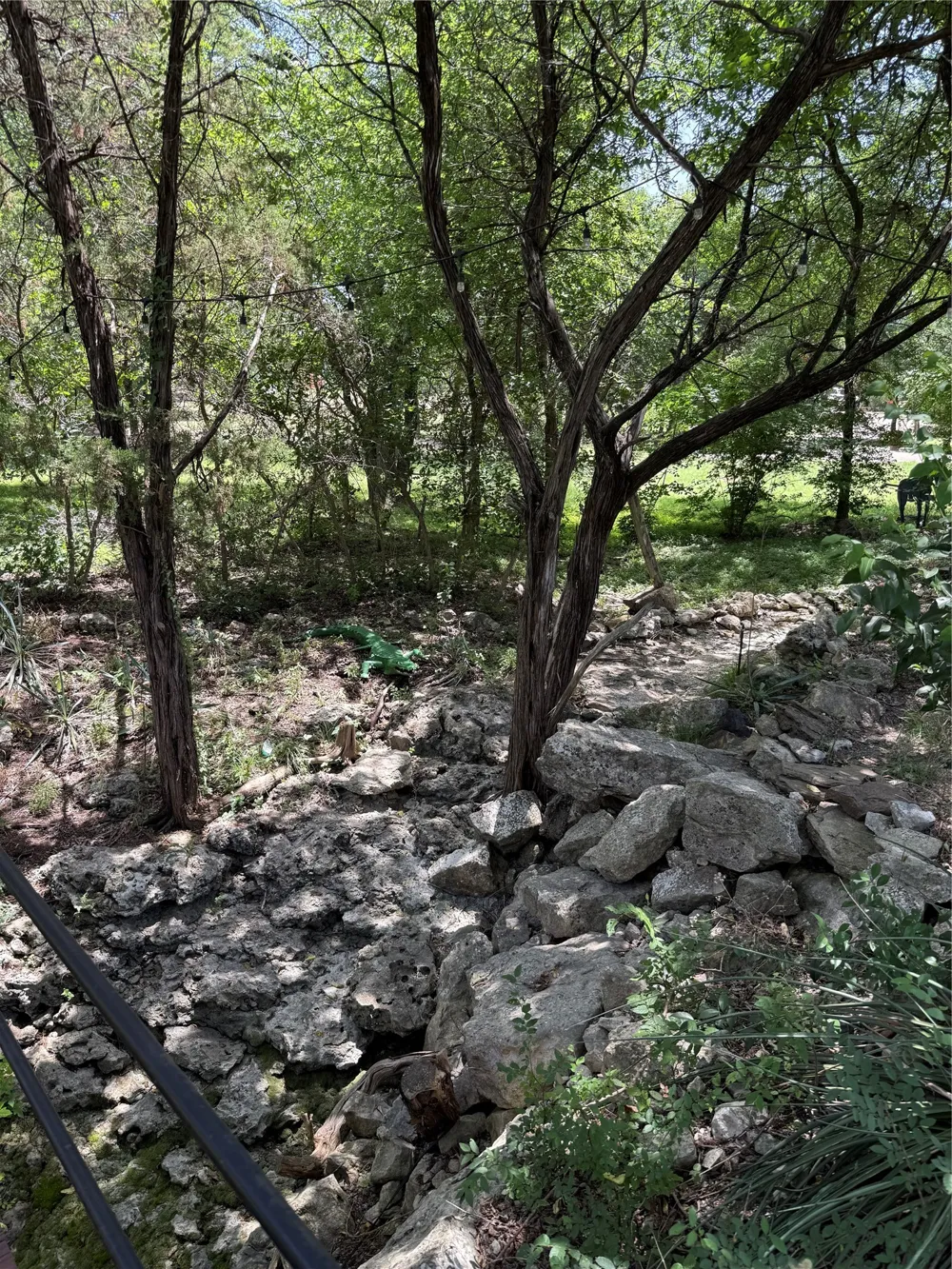 9217 Indian Trail Rio Vista, TX 76093