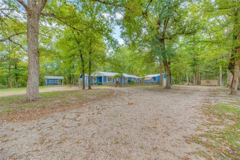 446 County Road 3550