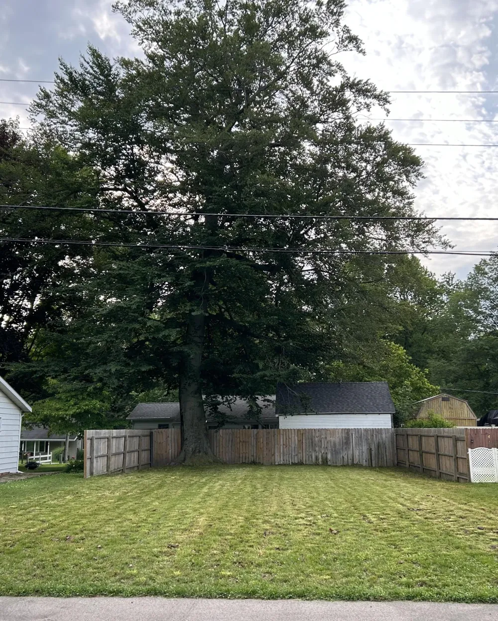Maple Avenue Dowagiac, MI 49047