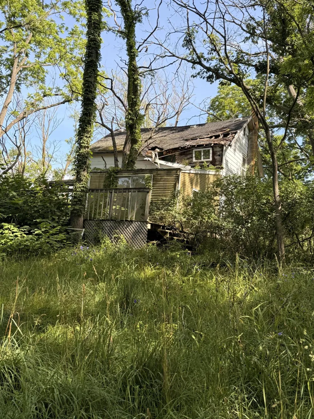 52 W Johnson Road Shelby, MI 49455