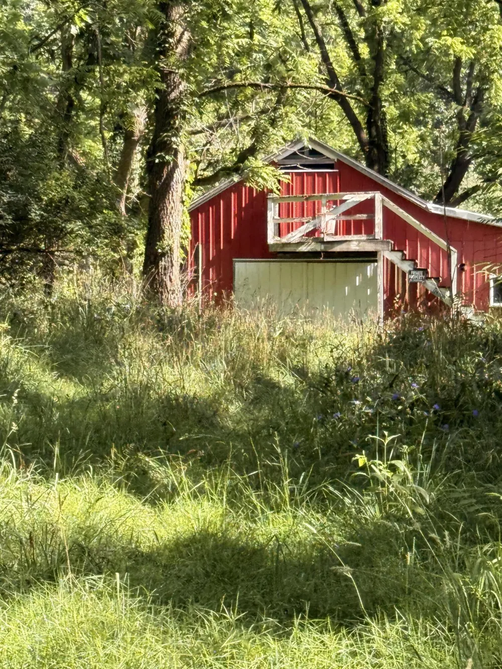 52 W Johnson Road Shelby, MI 49455