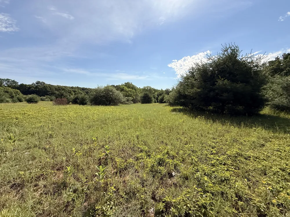 52 W Johnson Road Shelby, MI 49455