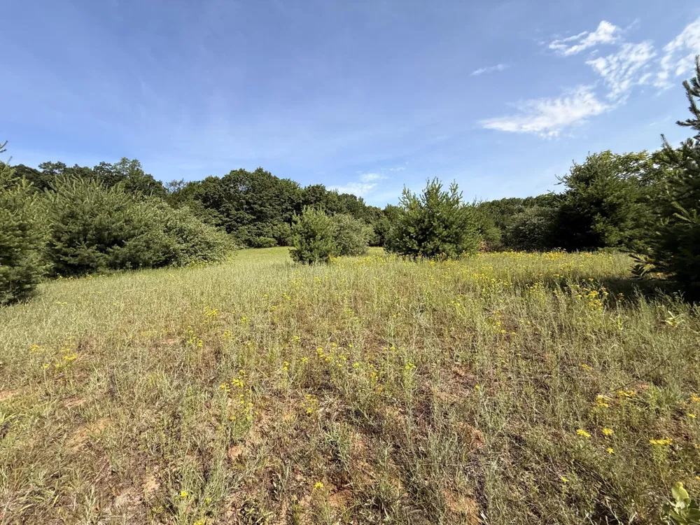 52 W Johnson Road Shelby, MI 49455
