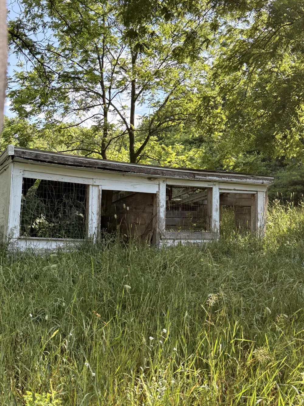 52 W Johnson Road Shelby, MI 49455