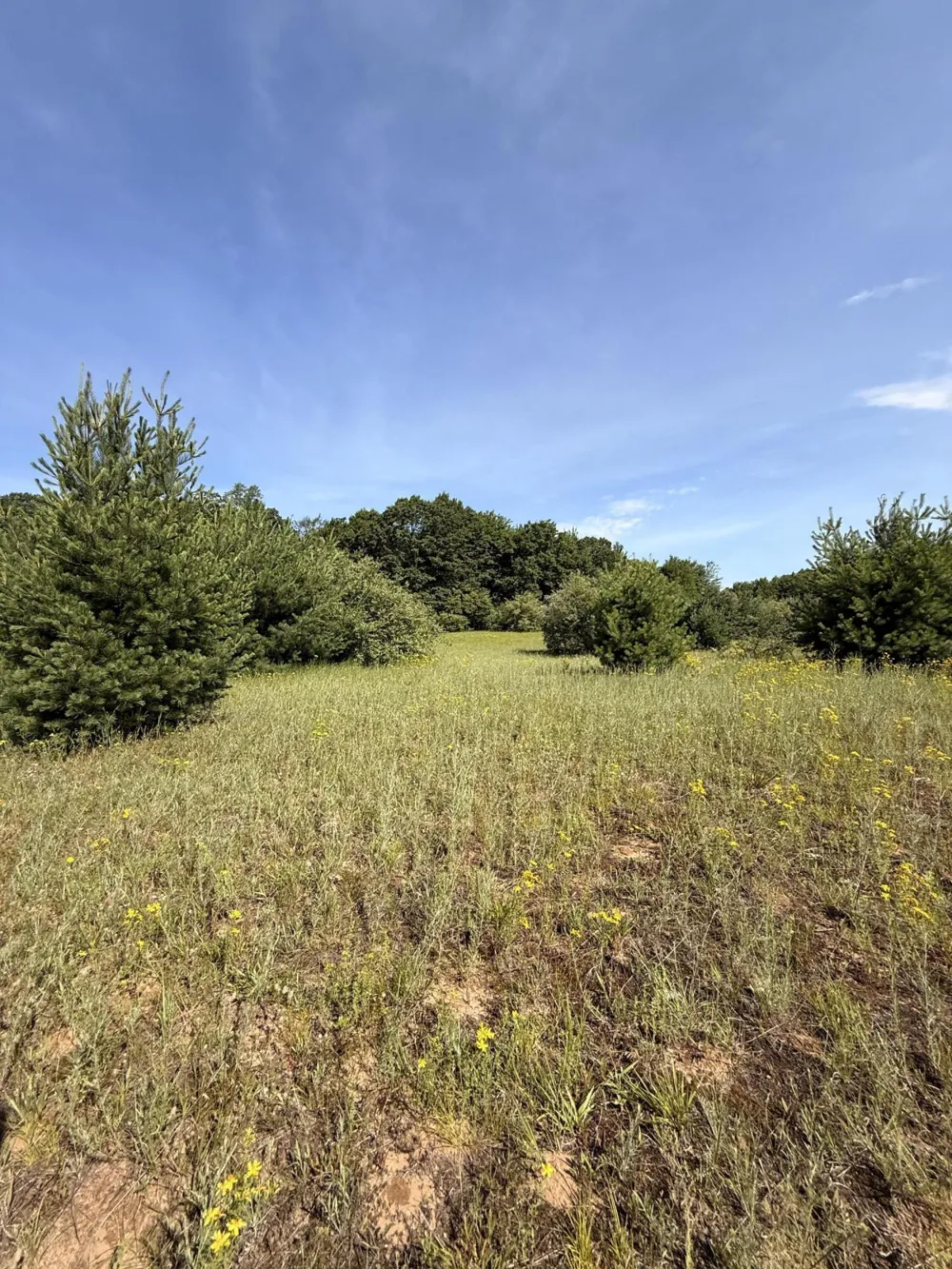 52 W Johnson Road Shelby, MI 49455