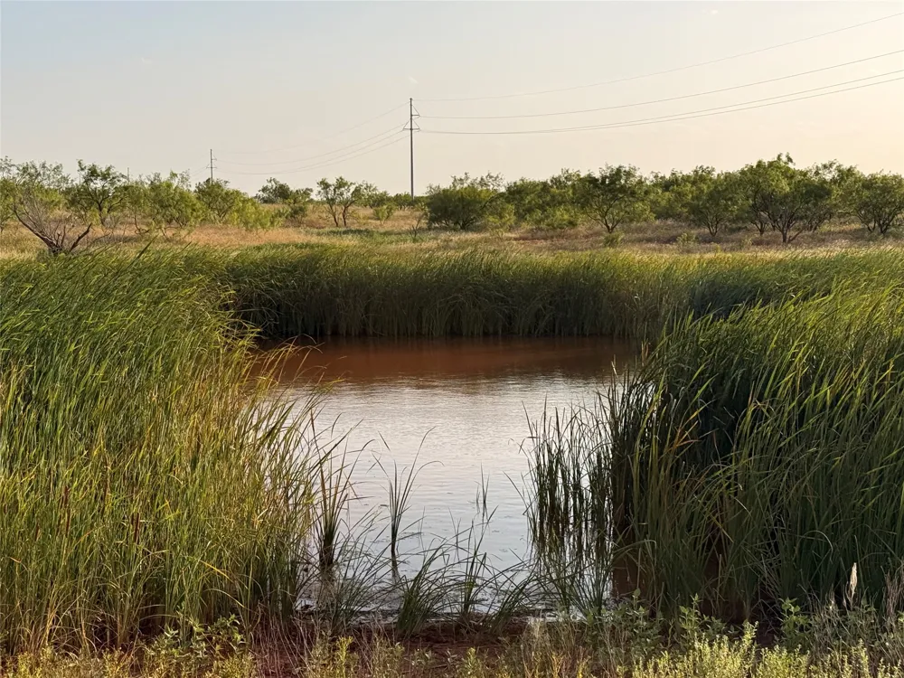 TR 5FM 604 Ovalo, TX 79541