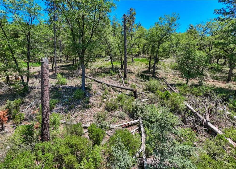 12548 Observation Road Middletown, CA 95461