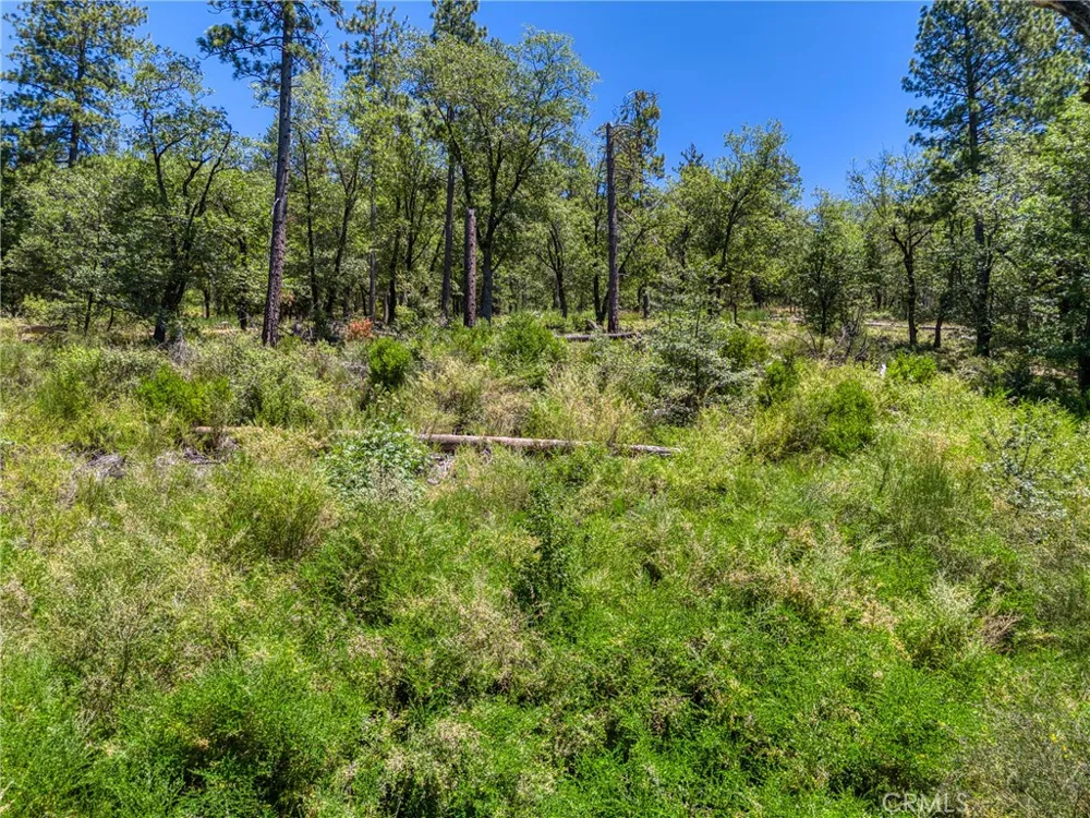 12548 Observation Road Middletown, CA 95461