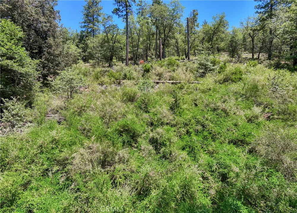 12548 Observation Road Middletown, CA 95461