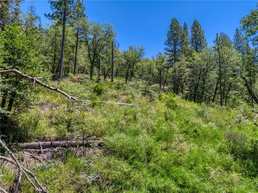 12548 Observation Road Middletown, CA 95461