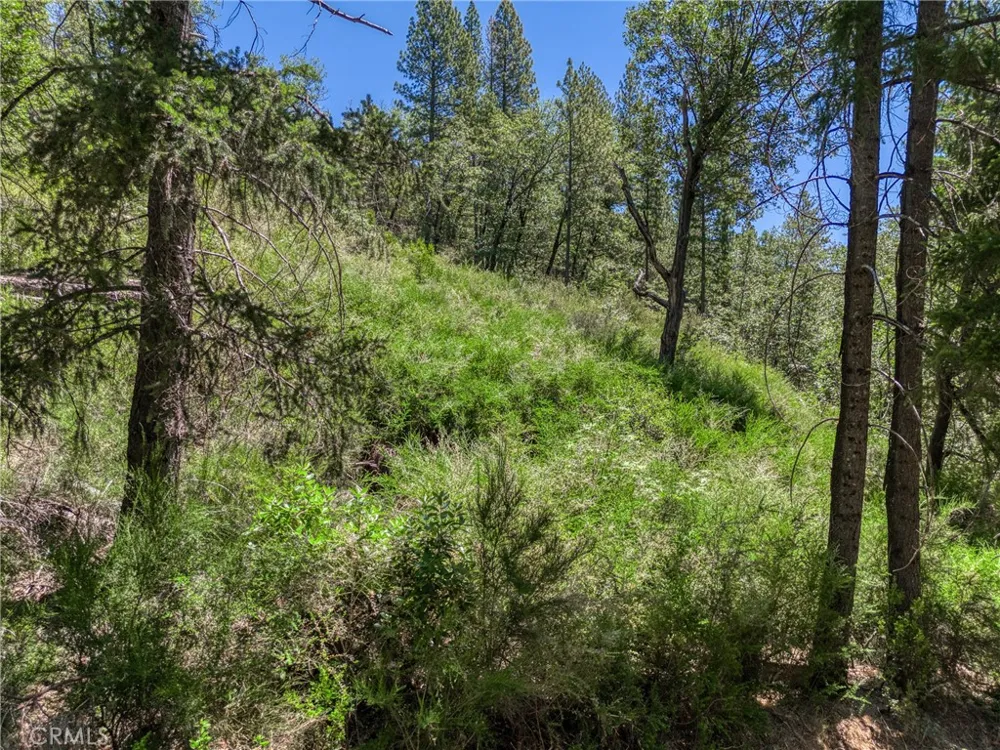 12548 Observation Road Middletown, CA 95461