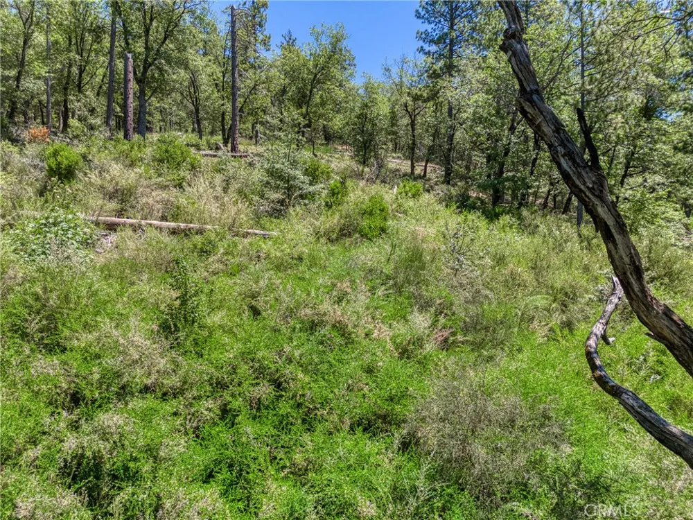 12548 Observation Road Middletown, CA 95461