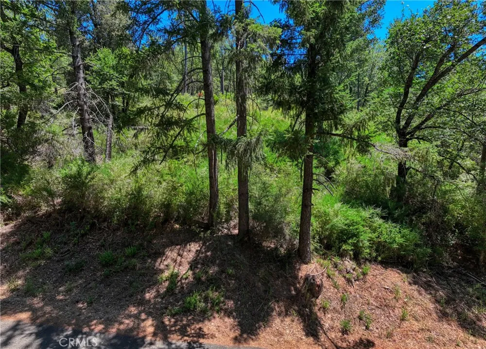 12548 Observation Road Middletown, CA 95461