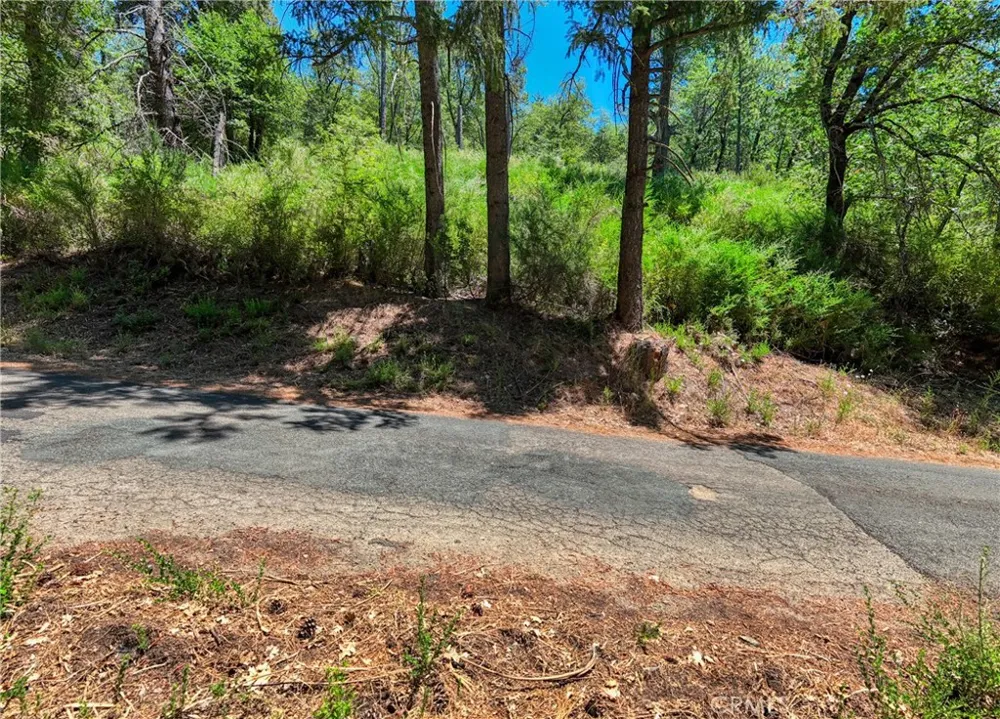 12548 Observation Road Middletown, CA 95461