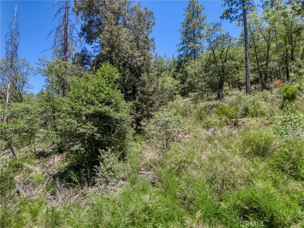 12548 Observation Road Middletown, CA 95461