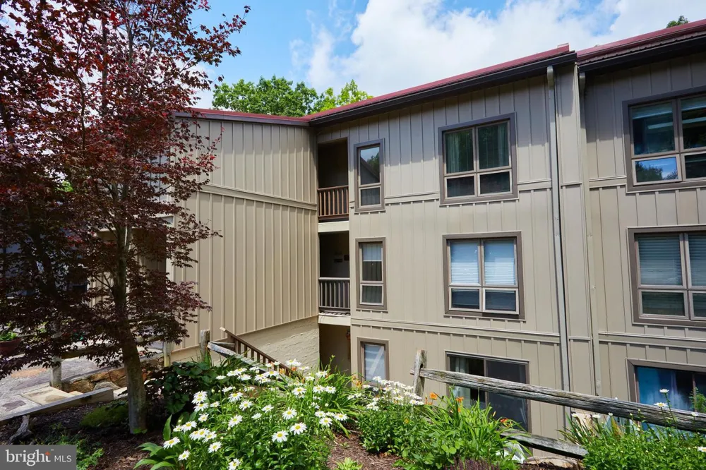 193 RED RUN ROAD #1-B-3 Oakland, MD 21550