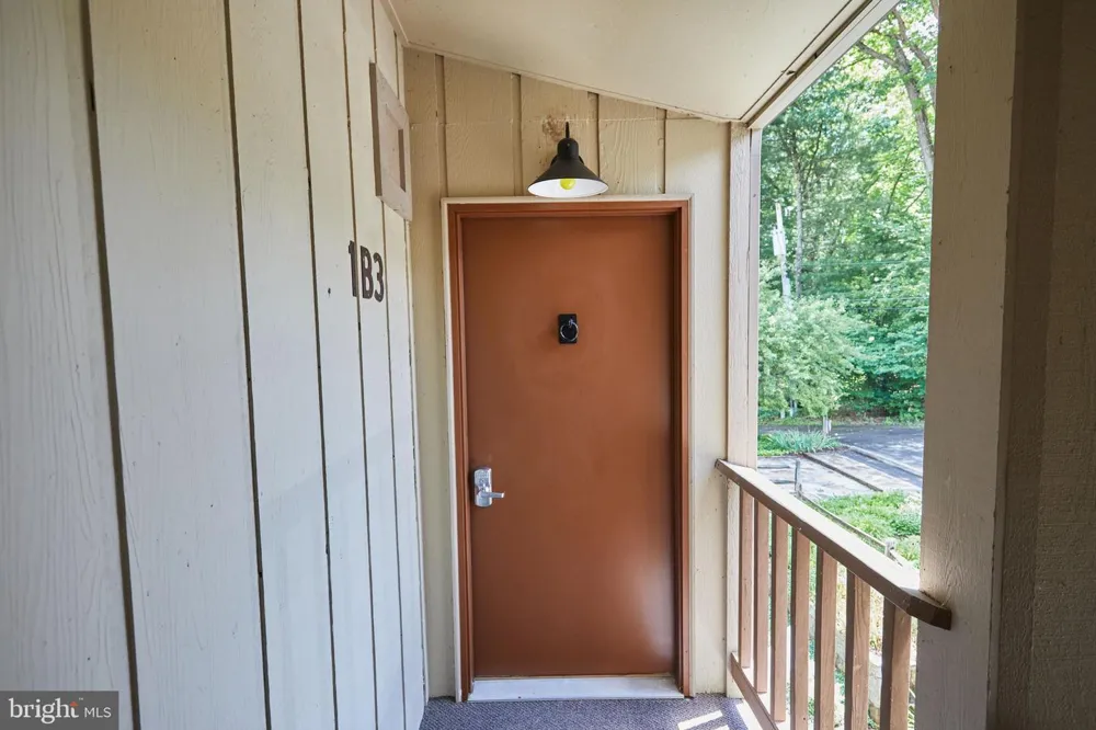 193 RED RUN ROAD #1-B-3 Oakland, MD 21550