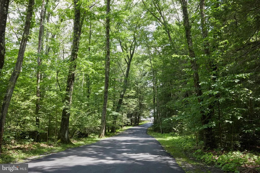 193 RED RUN ROAD #1-B-3 Oakland, MD 21550