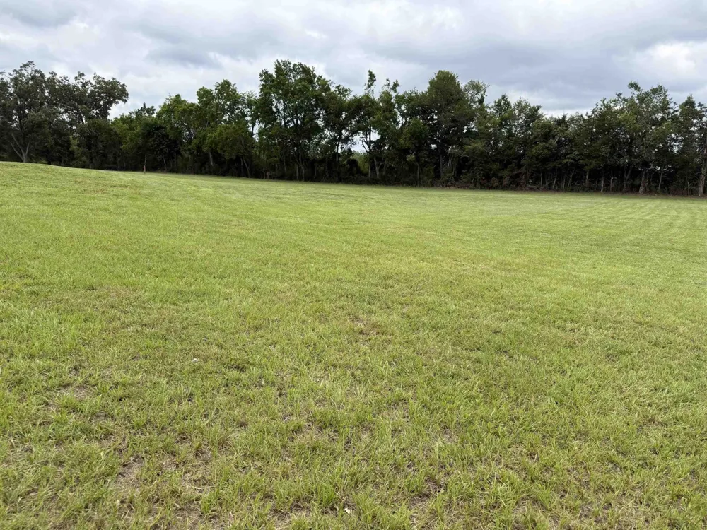 0 Hwy 64 Adamsville, TN 38310