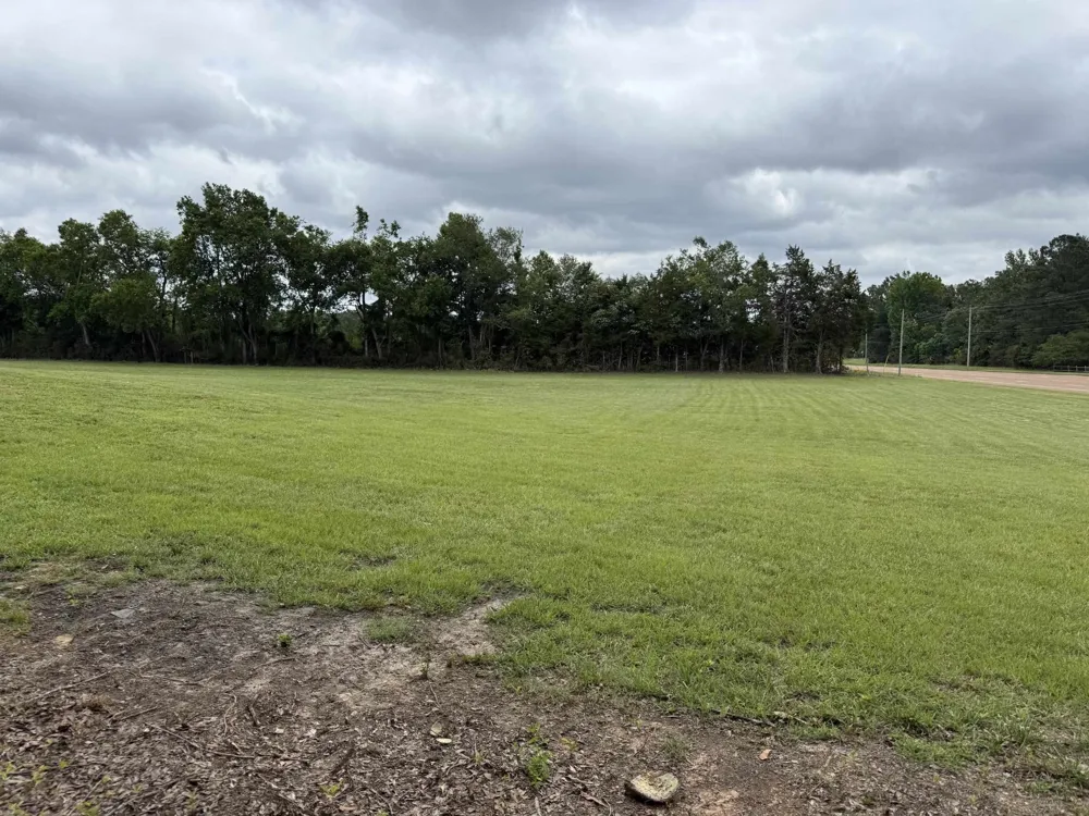 0 Hwy 64 Adamsville, TN 38310