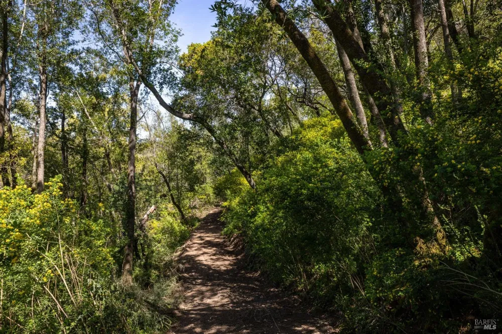 141 Granlee Road San Rafael, CA 94903