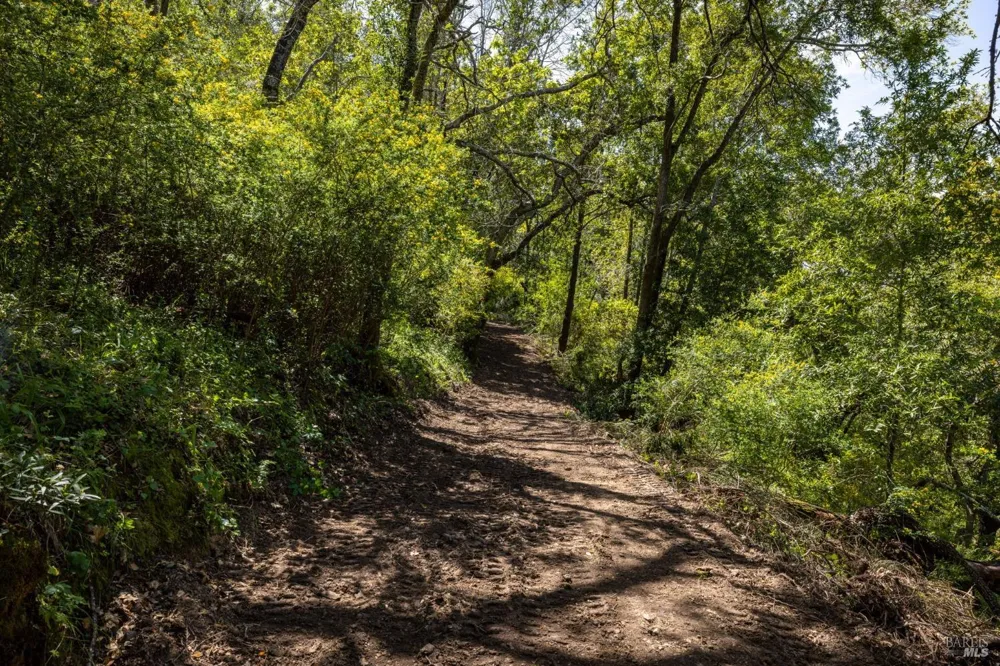 141 Granlee Road San Rafael, CA 94903
