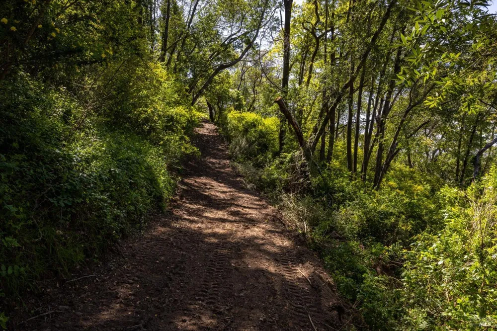 141 Granlee Road San Rafael, CA 94903