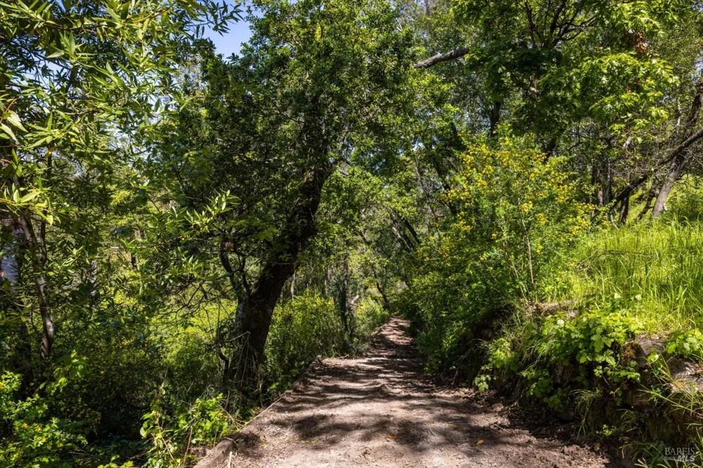 141 Granlee Road San Rafael, CA 94903