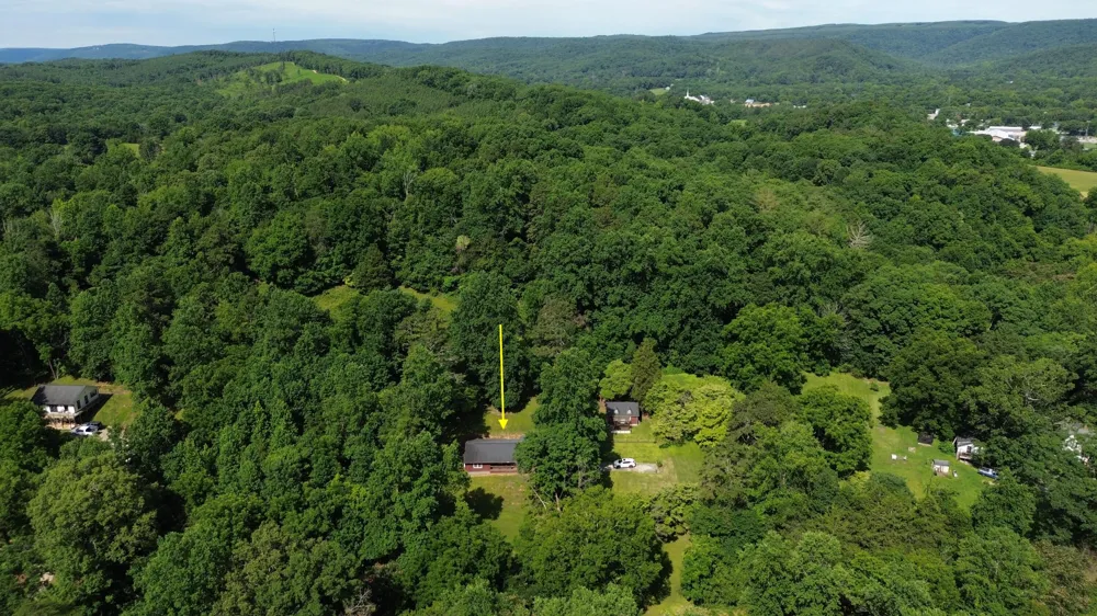 602 Patterson Road Sale Creek, TN 37373