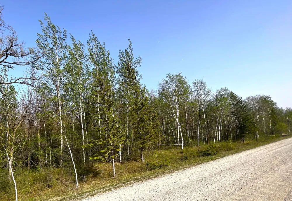 XXX 585th Avenue Warroad, MN 56763
