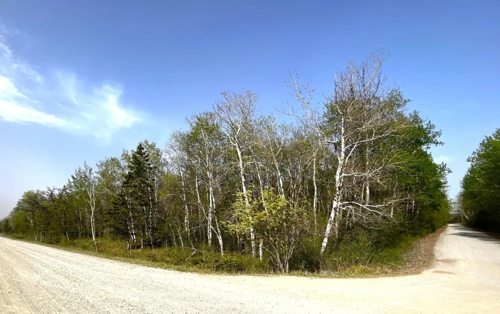 XXX 585th Avenue Warroad, MN 56763