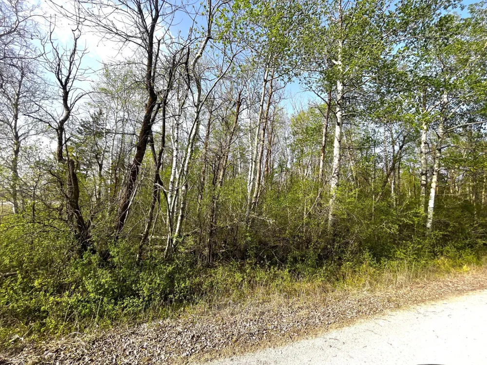XXX 585th Avenue Warroad, MN 56763