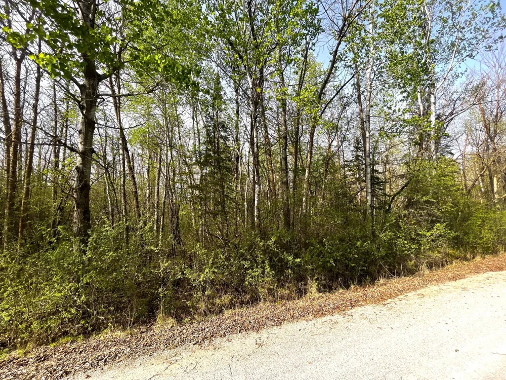 XXX 585th Avenue Warroad, MN 56763