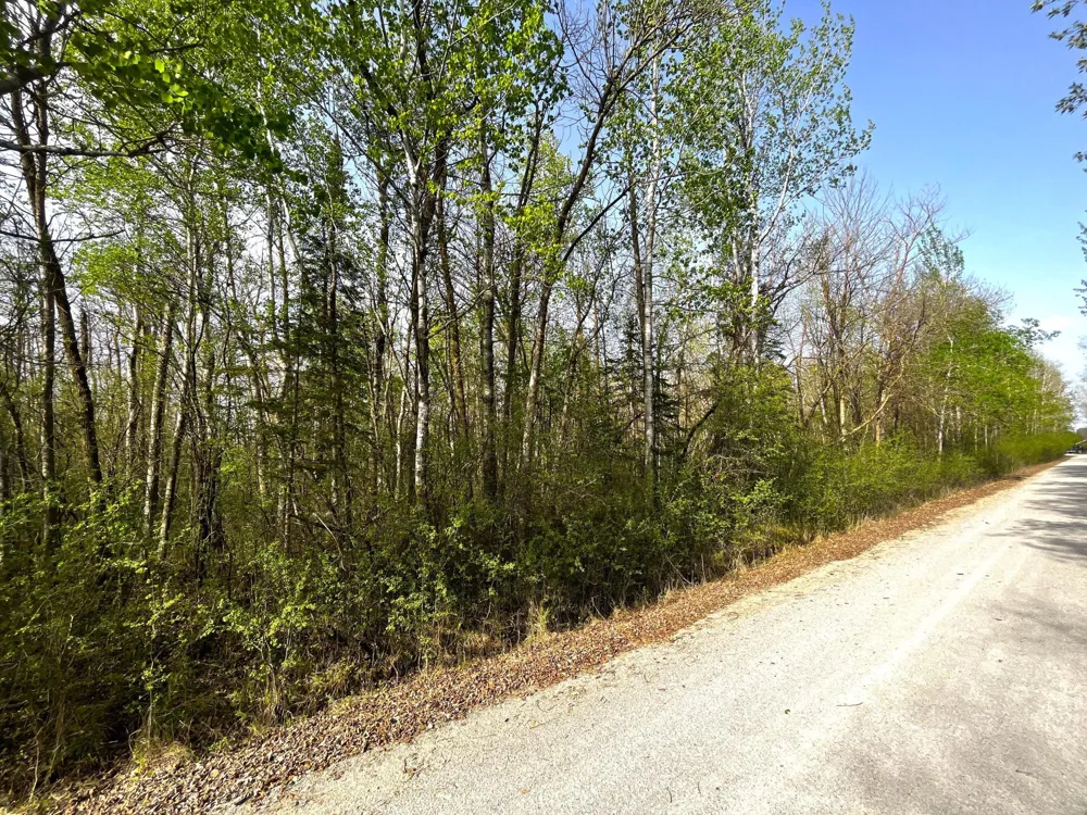 XXX 585th Avenue Warroad, MN 56763