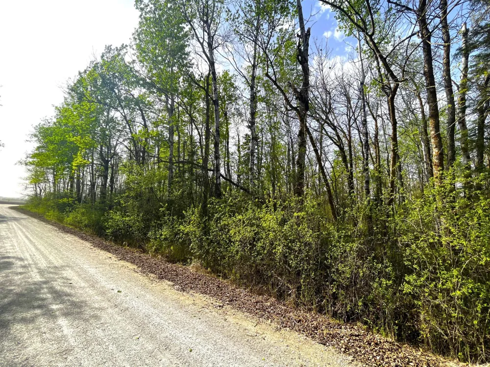 XXX 585th Avenue Warroad, MN 56763