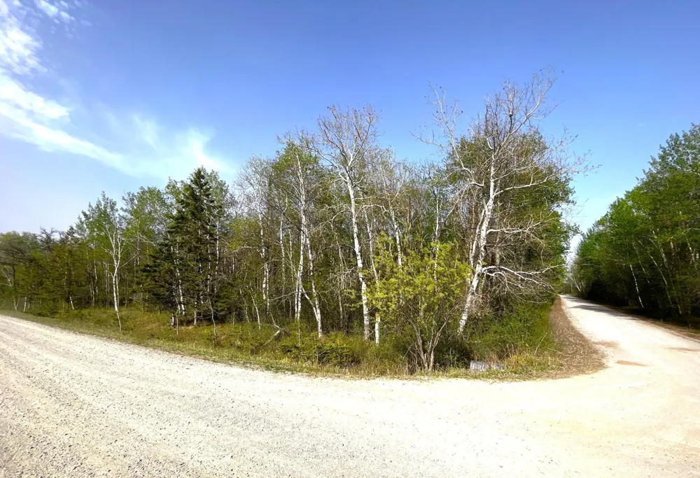 XXX 585th Avenue Warroad, MN 56763